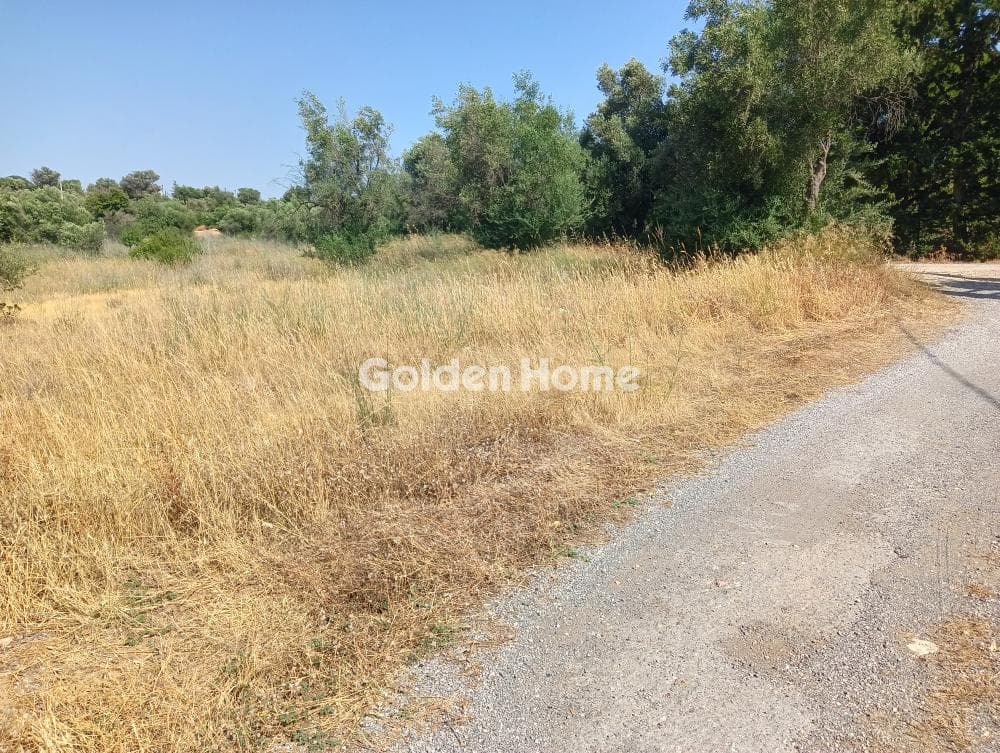 Αγροτεμάχιο στην Κάτω Χαρβάτι, Παλλήνη — Φωτογραφία 1 από 7