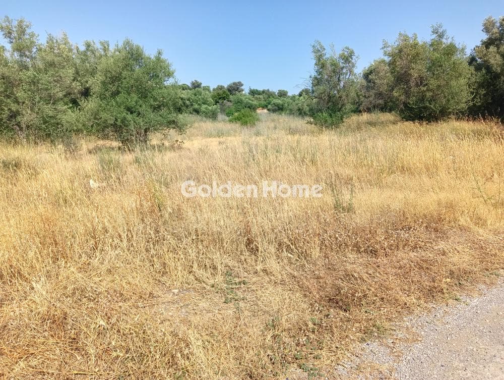 Αγροτεμάχιο στην Κάτω Χαρβάτι, Παλλήνη — Φωτογραφία 2 από 7