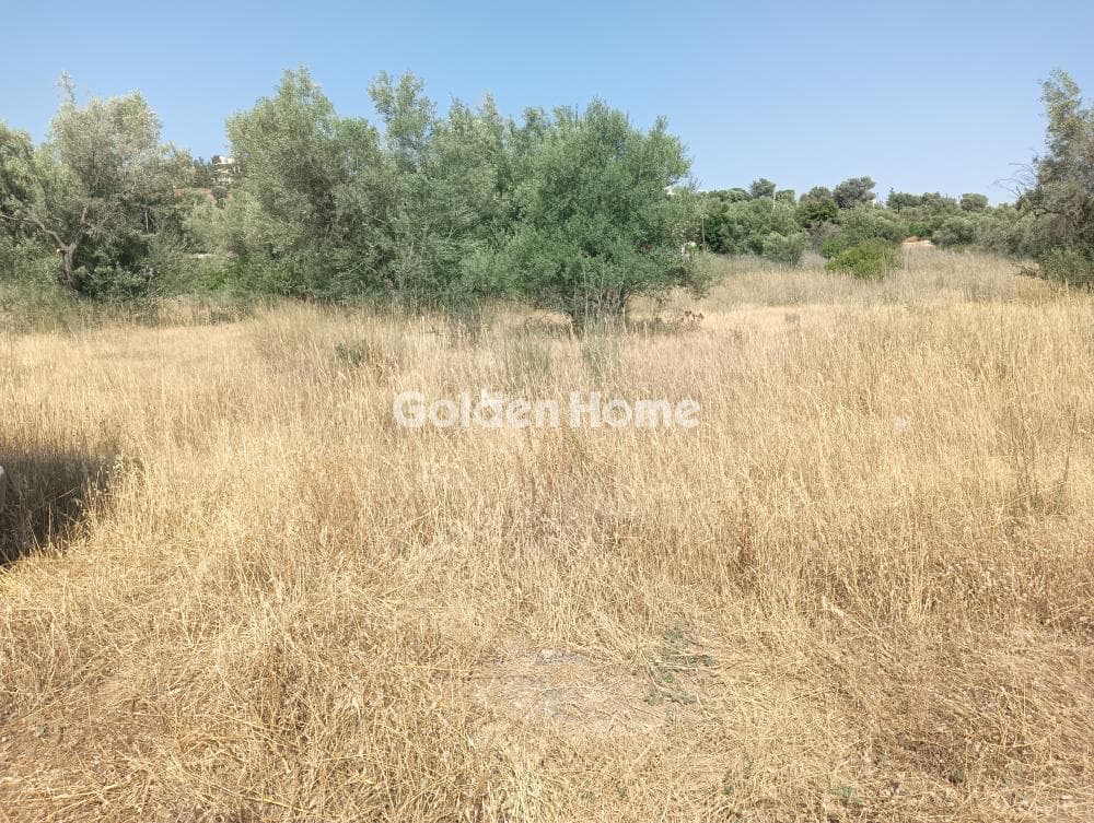 Αγροτεμάχιο στην Κάτω Χαρβάτι, Παλλήνη — Φωτογραφία 5 από 7