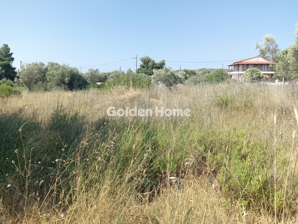 Αγροτεμάχιο στην Κάτω Χαρβάτι, Παλλήνη — Φωτογραφία 6 από 7
