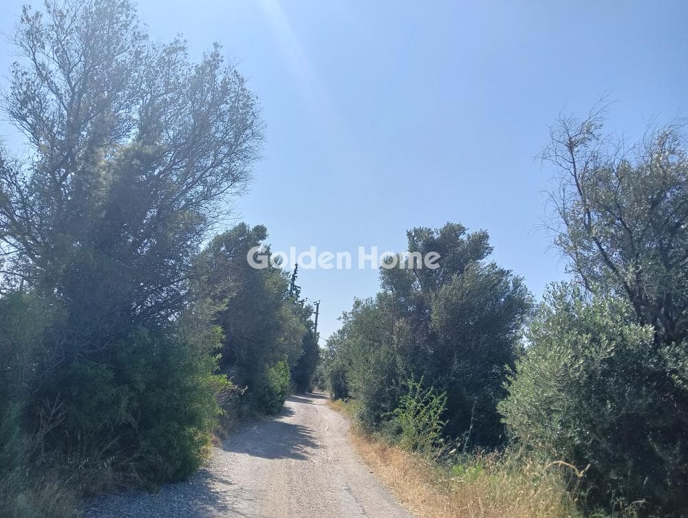 Αγροτεμάχιο στην Κάτω Χαρβάτι, Παλλήνη — Φωτογραφία 7 από 7