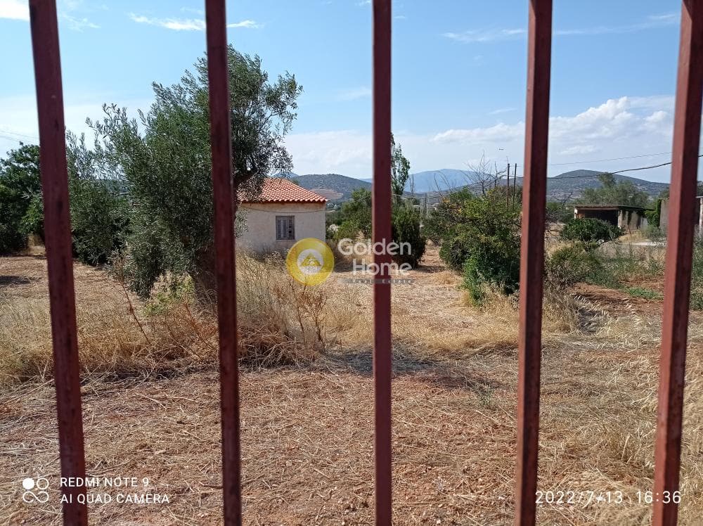 Αγροτεμάχιο στην Κεφλαίικα, Καλύβια Θορικού — Φωτογραφία 10 από 14