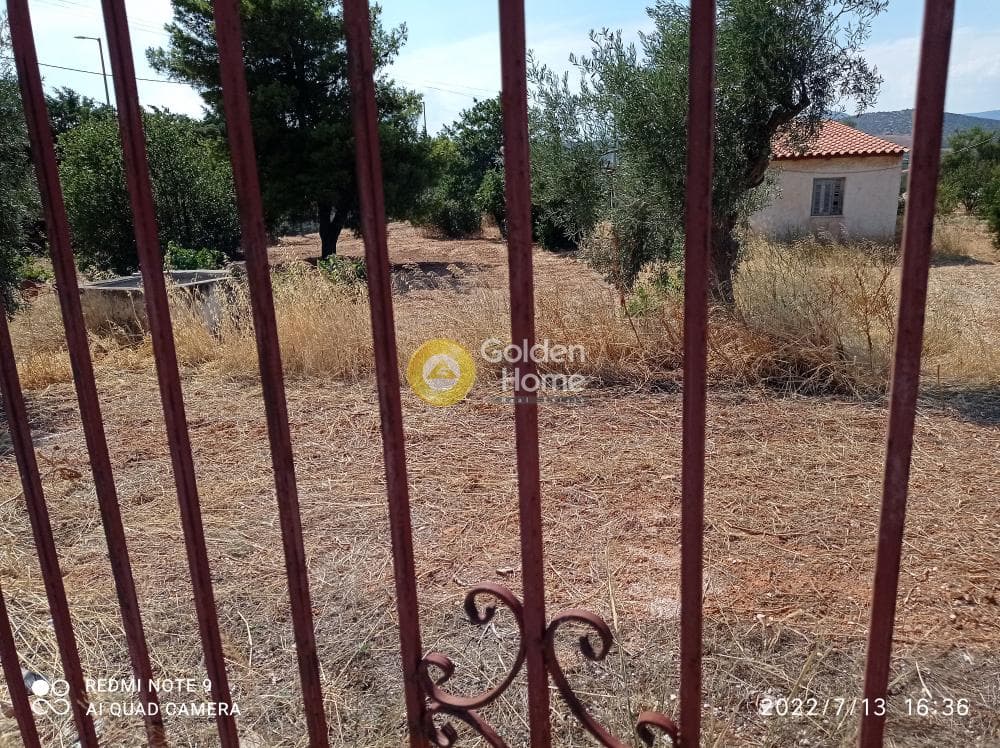 Αγροτεμάχιο στην Κεφλαίικα, Καλύβια Θορικού — Φωτογραφία 13 από 14