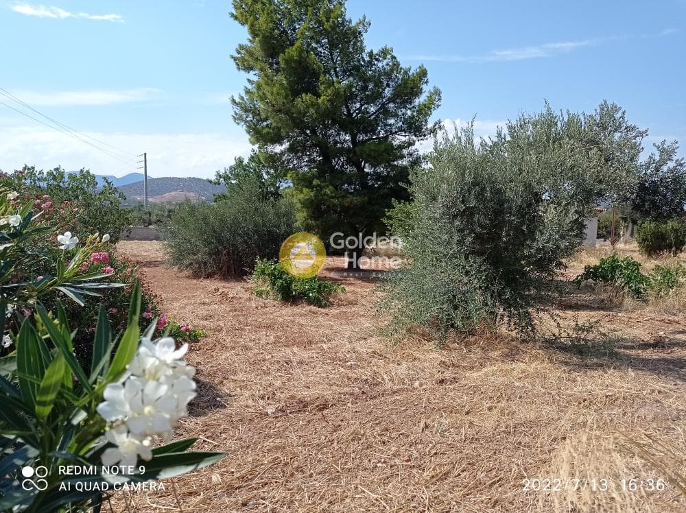 Αγροτεμάχιο στην Κεφλαίικα, Καλύβια Θορικού — Φωτογραφία 4 από 14