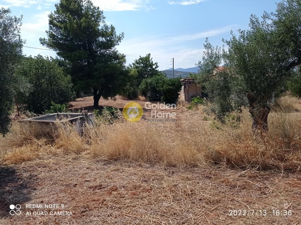 Αγροτεμάχιο στην Κεφλαίικα, Καλύβια Θορικού — Φωτογραφία 1 από 14