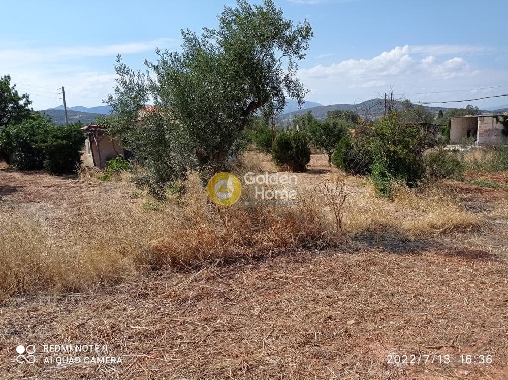 Αγροτεμάχιο στην Κεφλαίικα, Καλύβια Θορικού — Φωτογραφία 6 από 14