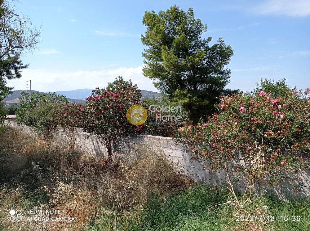 Αγροτεμάχιο στην Κεφλαίικα, Καλύβια Θορικού — Φωτογραφία 5 από 14