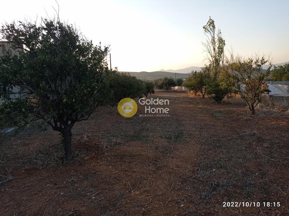 Αγροτεμάχιο στην Κεφλαίικα, Καλύβια Θορικού — Φωτογραφία 9 από 14