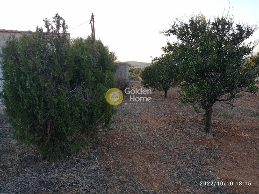 Αγροτεμάχιο στην Κεφλαίικα, Καλύβια Θορικού — Φωτογραφία 11 από 14