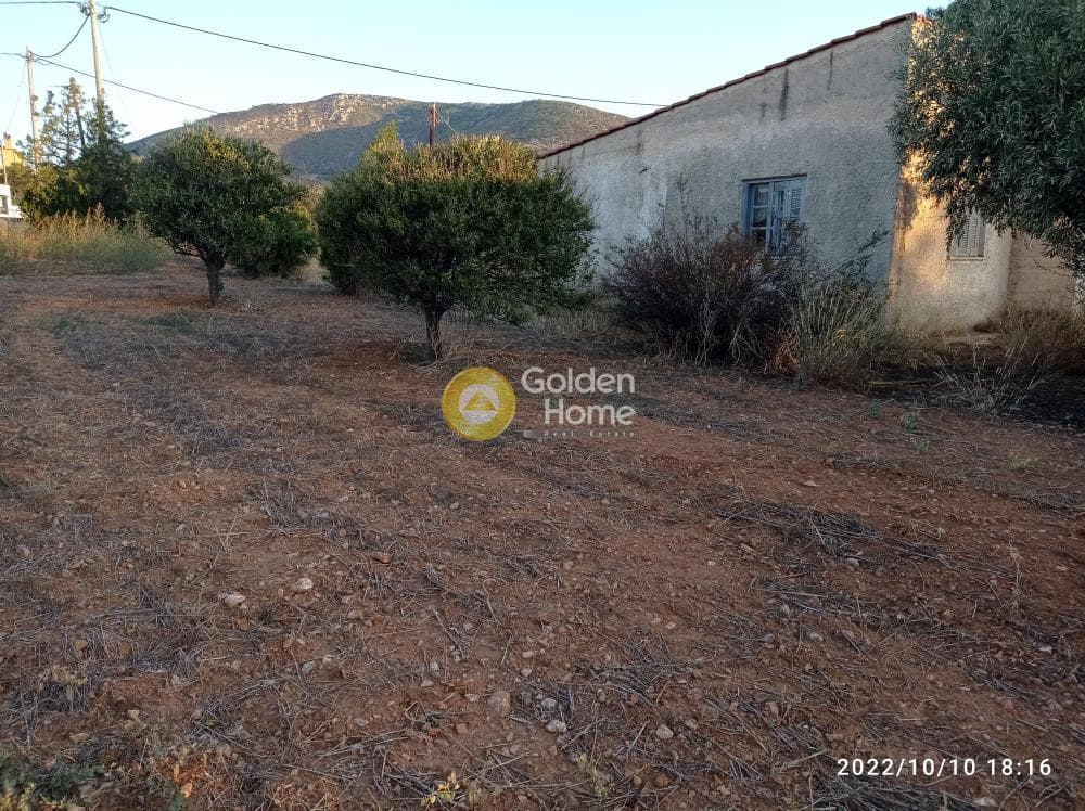 Αγροτεμάχιο στην Κεφλαίικα, Καλύβια Θορικού — Φωτογραφία 12 από 14