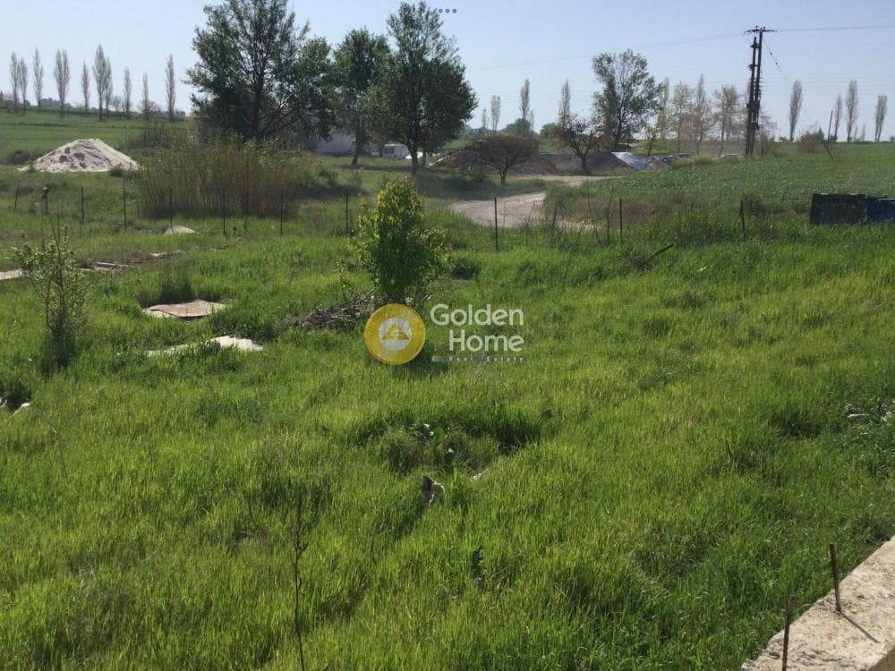 House in Center, Epanomi — Photo 13 of 16