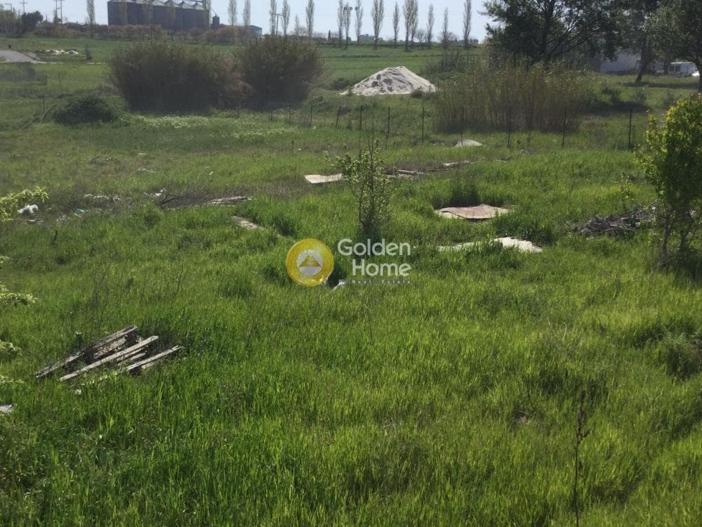House in Center, Epanomi — Photo 10 of 13