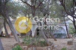 Μονοκατοικία στην Άγιος Παντελεήμονας, Ανάβυσσος — Φωτογραφία 4 από 11