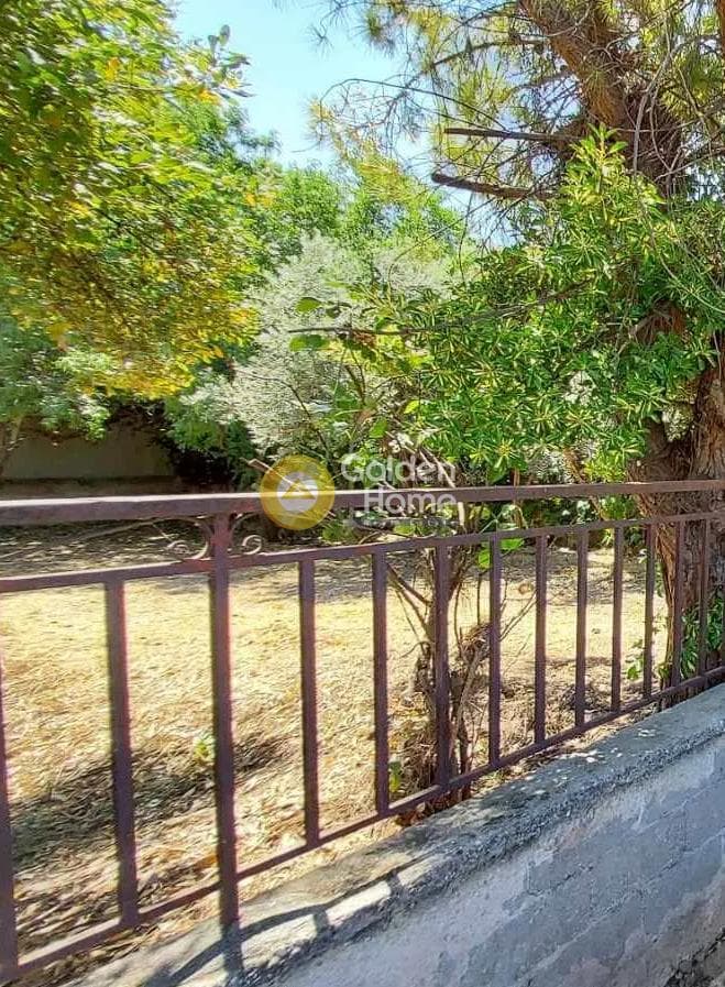 Οικόπεδο στην Πευκάκια, Αγία Παρασκευή — Φωτογραφία 3 από 4