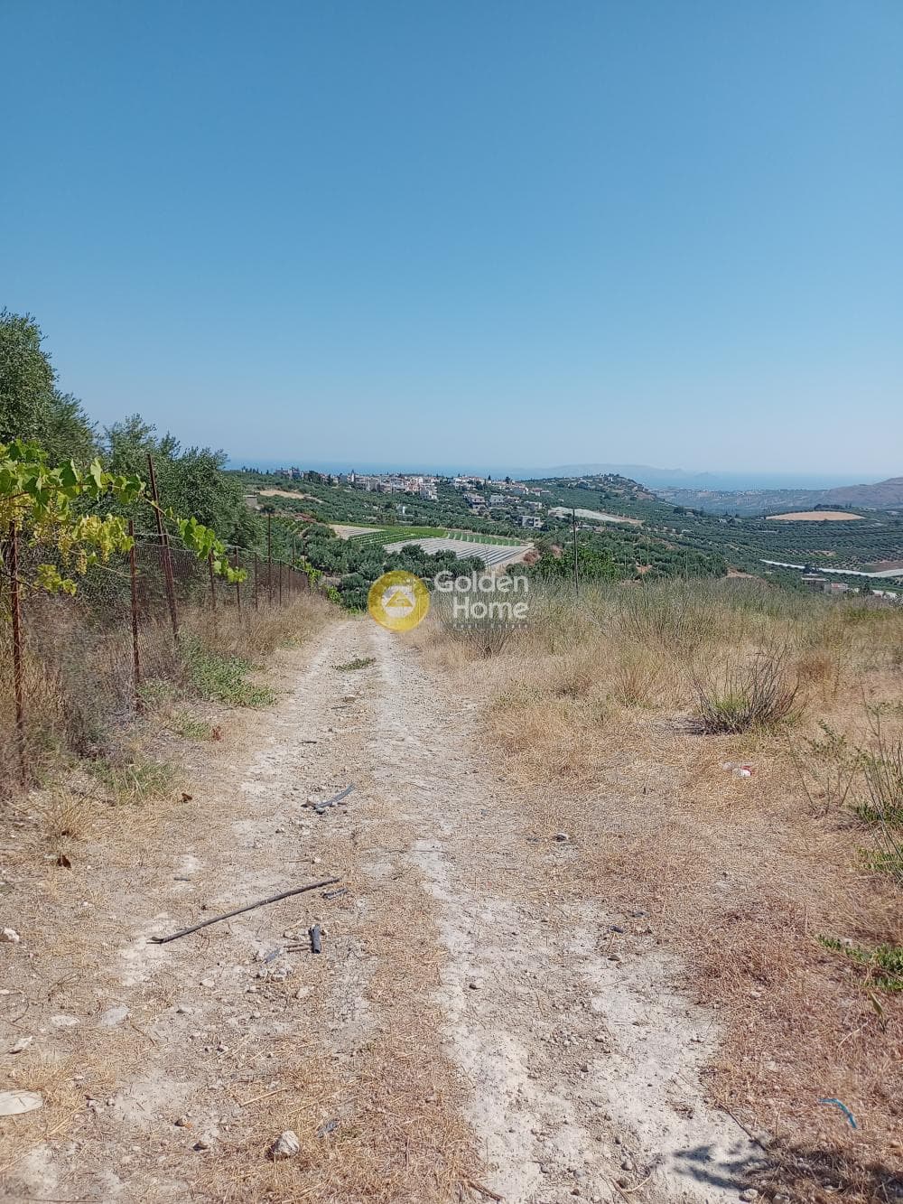 Οικόπεδο στην Άγιος Βλάσιος, Αρχάνες — Φωτογραφία 4 από 6