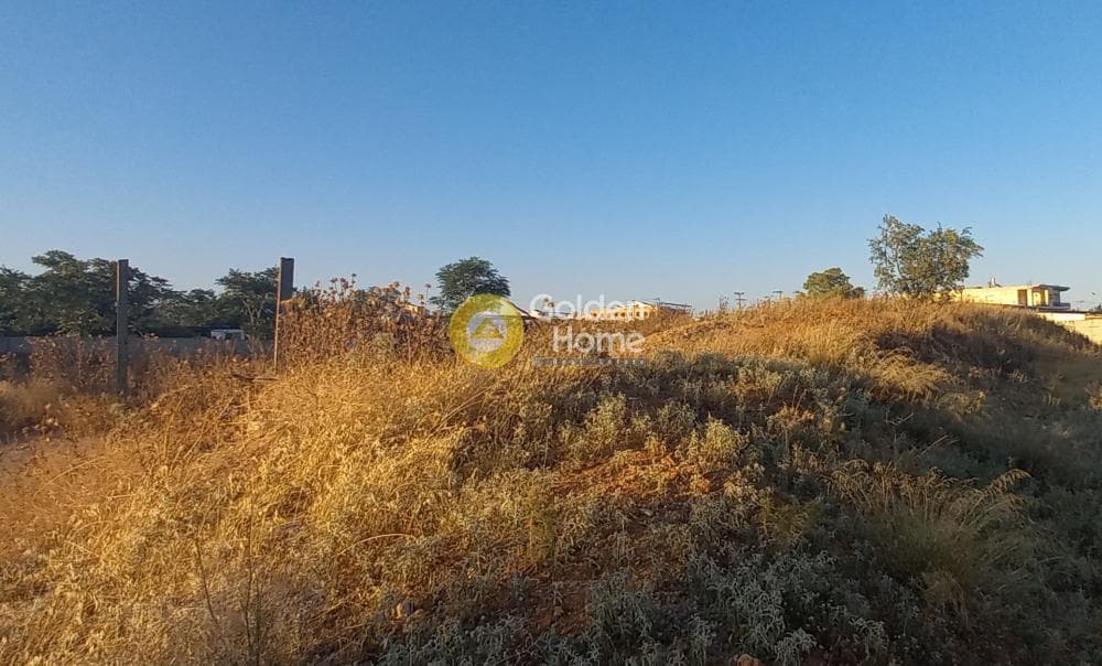 Αγροτεμάχιο στην Μεγάλα Σχοινία Α, Αχαρνές — Φωτογραφία 3 από 4