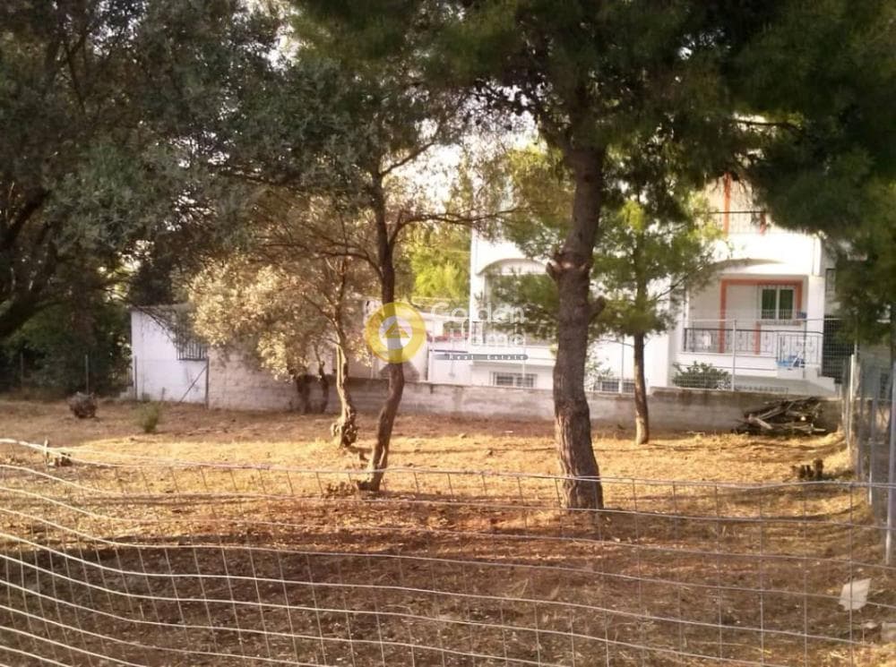 Οικόπεδο στην Νέο Λιβύσσι, Νέα Μάκρη — Φωτογραφία 3 από 6