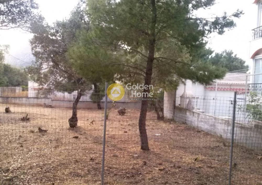 Οικόπεδο στην Νέο Λιβύσσι, Νέα Μάκρη — Φωτογραφία 4 από 6