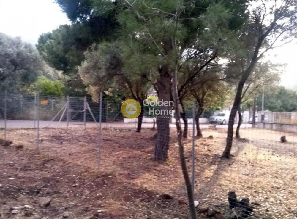 Οικόπεδο στην Νέο Λιβύσσι, Νέα Μάκρη — Φωτογραφία 5 από 6