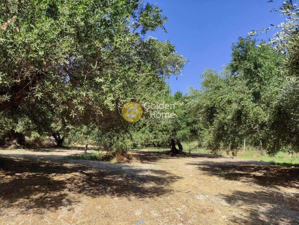 Building Plot in Patsides, Archanes — Photo 5 of 8