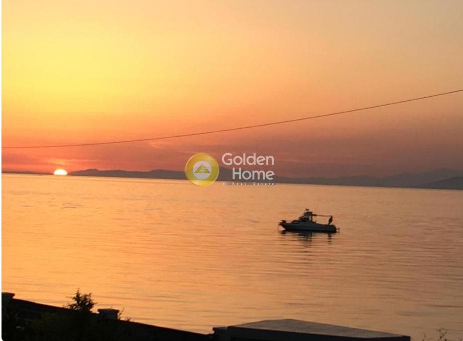 Μονοκατοικία στην Κέντρο, Παραλίας — Φωτογραφία 2 από 24