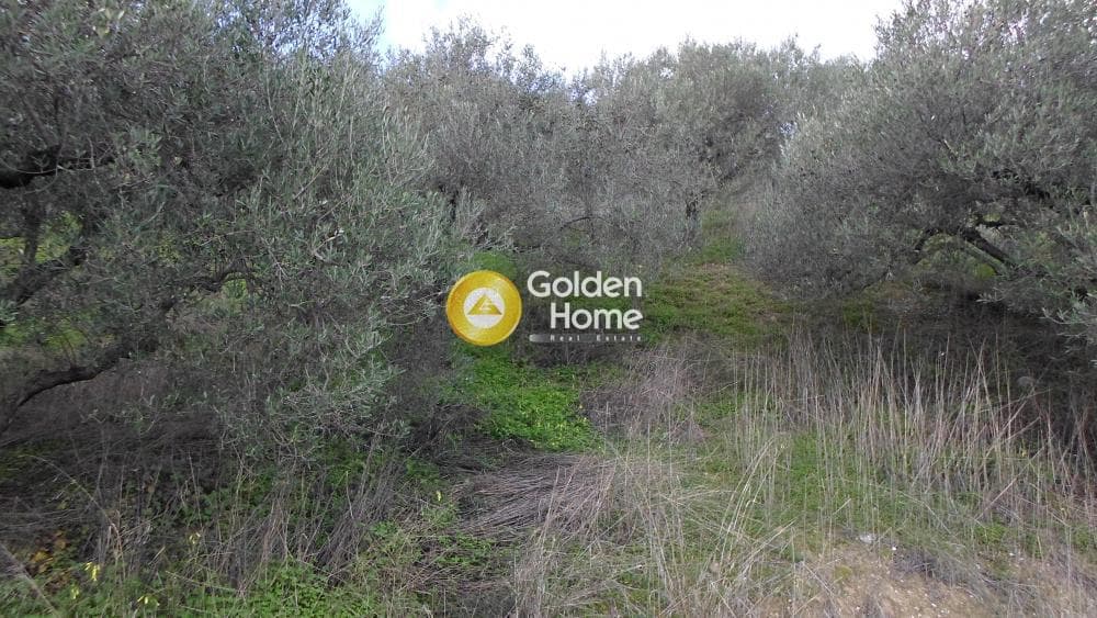 Οικόπεδο στην Κουνάβοι, Αρχάνες — Φωτογραφία 9 από 12