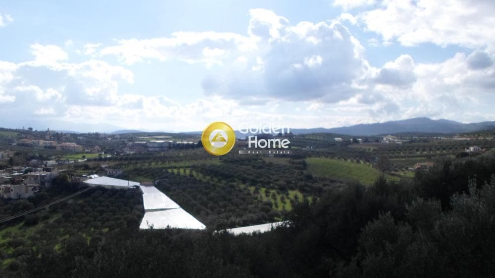 Οικόπεδο στην Κουνάβοι, Αρχάνες — Φωτογραφία 10 από 12