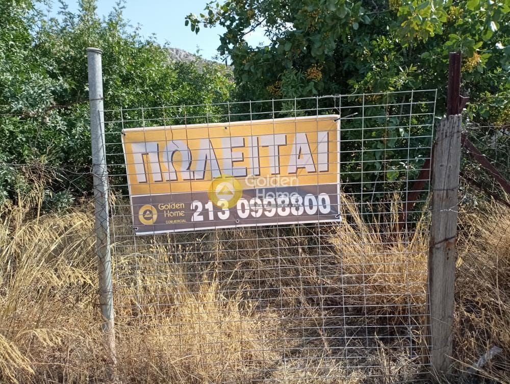 Οικόπεδο στην Άγιος Αθανάσιος, Σαλαμίνα — Φωτογραφία 1 από 2