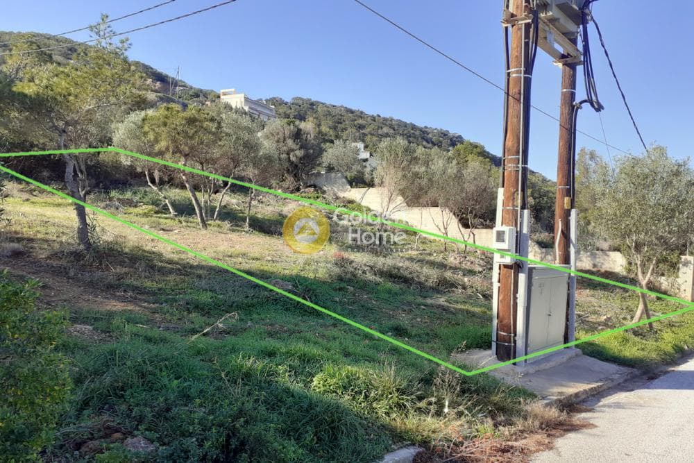 Αγροτεμάχιο στην Χαμολιά, Βραυρώνα — Φωτογραφία 2 από 3