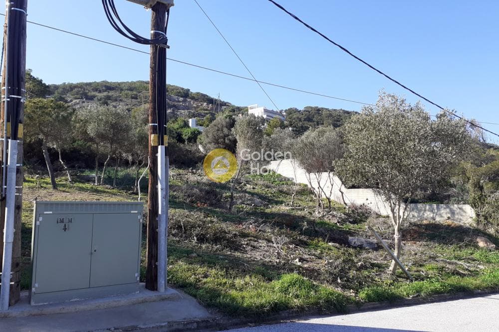 Αγροτεμάχιο στην Χαμολιά, Βραυρώνα — Φωτογραφία 3 από 3