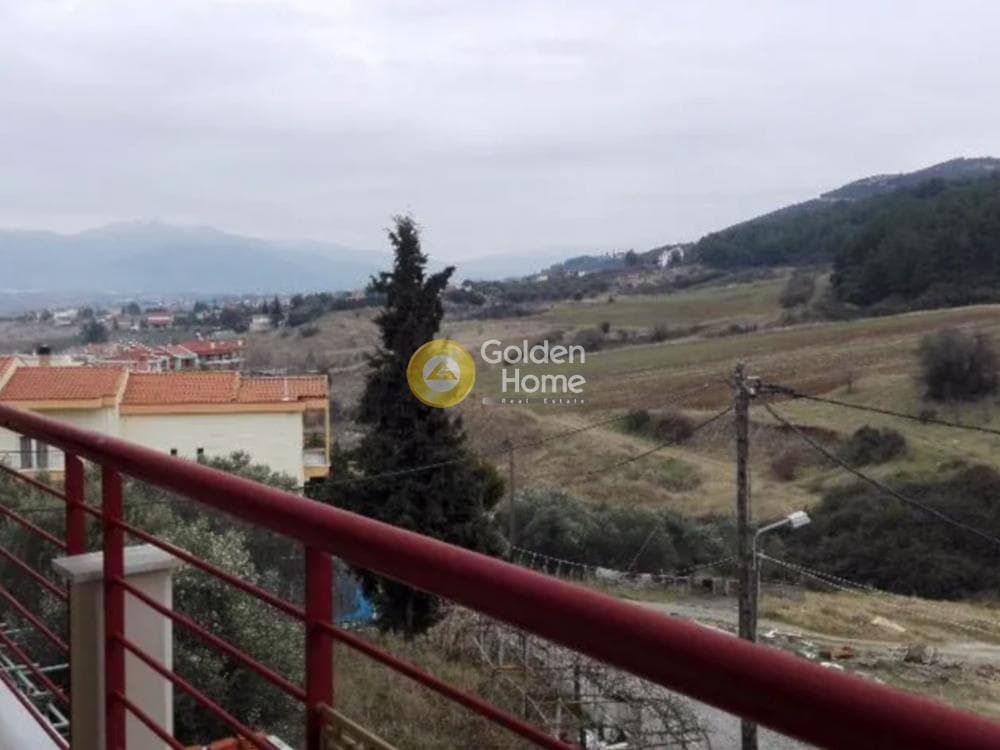 Μονοκατοικία στην Αγία Παρασκευή, Βασιλικά — Φωτογραφία 12 από 14