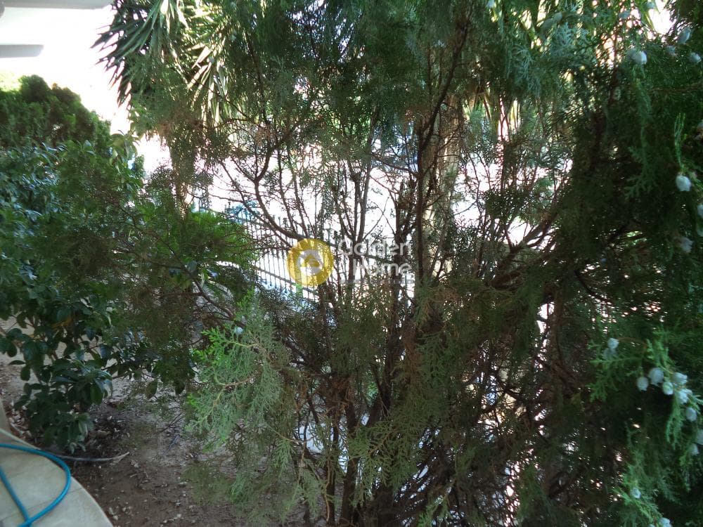 Διαμέρισμα στην Κέντρο, Ερίνεο — Φωτογραφία 5 από 10