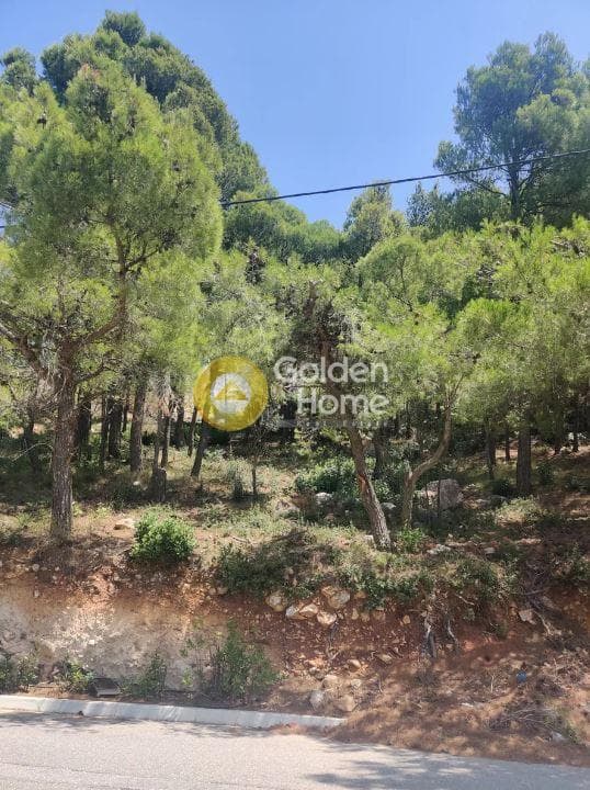 Οικόπεδο στην Μεγάλα Σχοινία Α, Αχαρνές — Φωτογραφία 2 από 5