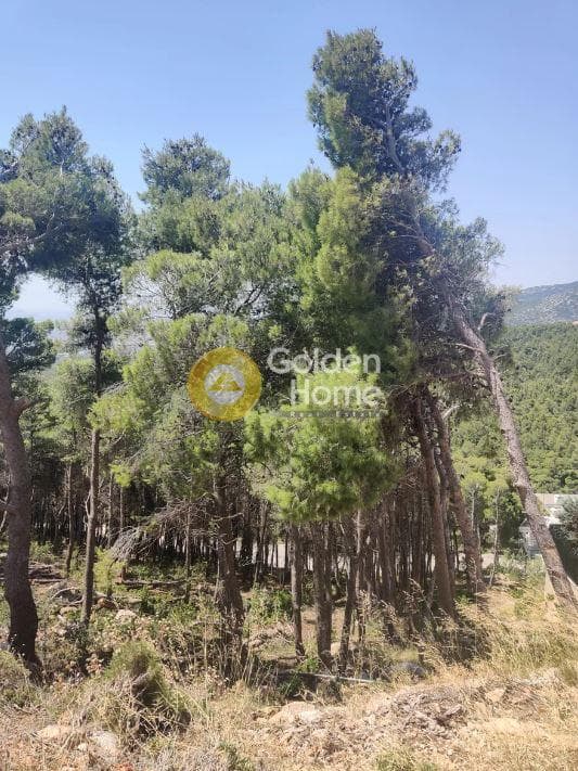 Οικόπεδο στην Μεγάλα Σχοινία Α, Αχαρνές — Φωτογραφία 4 από 5