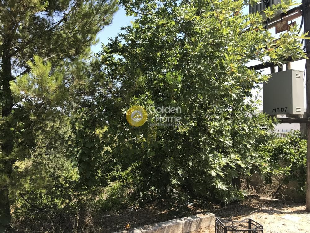 Parcel in Neapoli, Spata — Photo 7 of 33