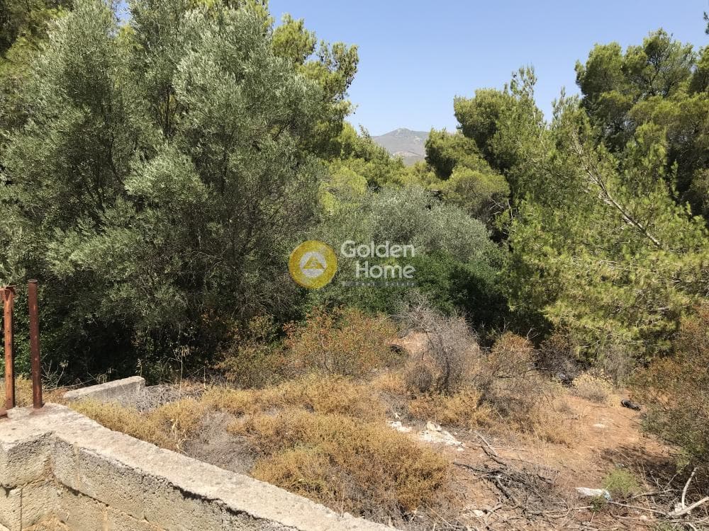 Parcel in Neapoli, Spata — Photo 9 of 33