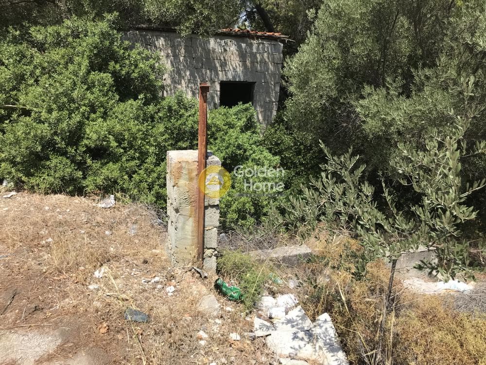 Parcel in Neapoli, Spata — Photo 11 of 33