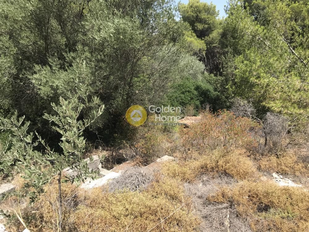 Parcel in Neapoli, Spata — Photo 12 of 33