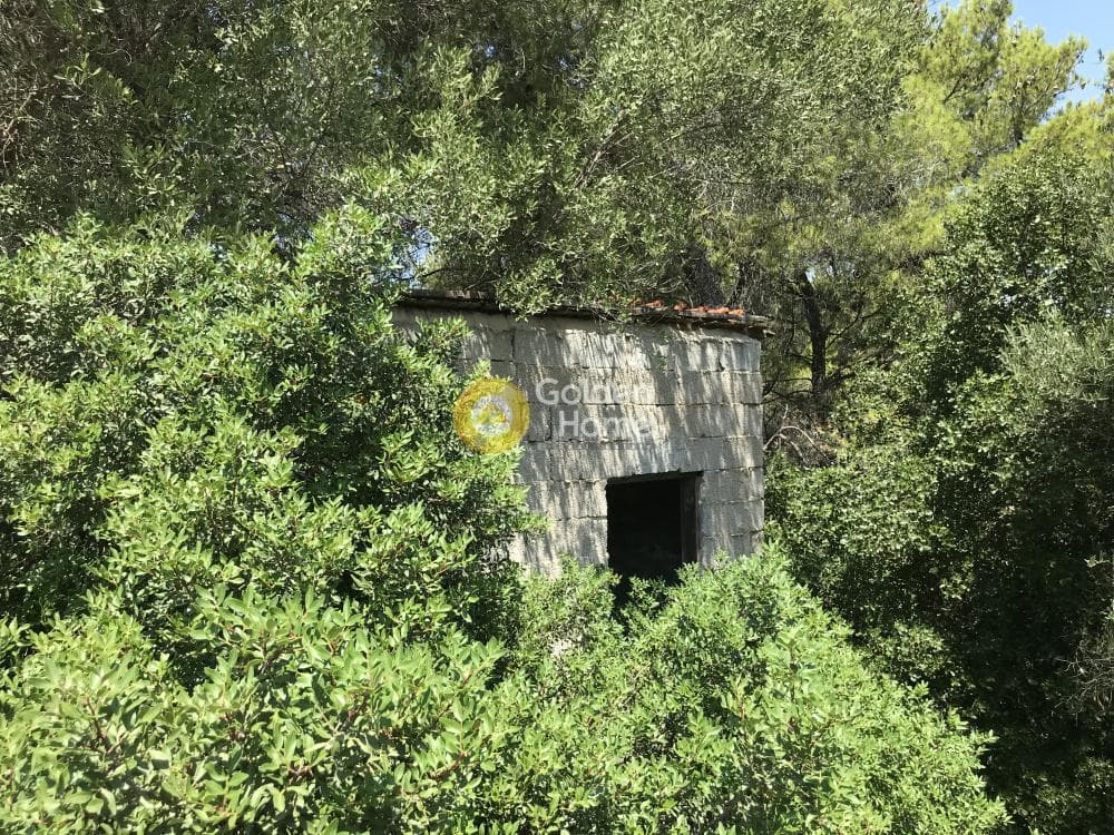 Parcel in Neapoli, Spata — Photo 13 of 33
