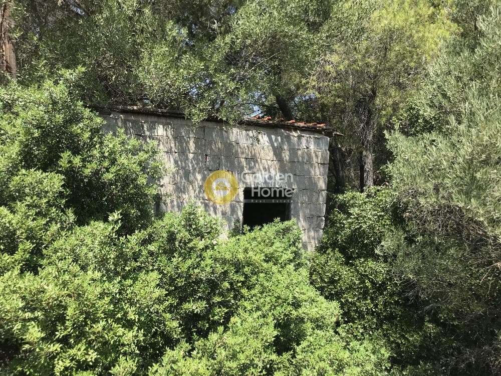 Parcel in Neapoli, Spata — Photo 15 of 33