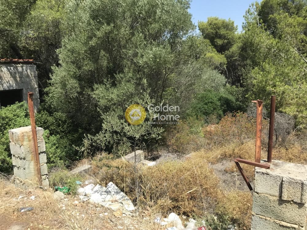 Parcel in Neapoli, Spata — Photo 16 of 33