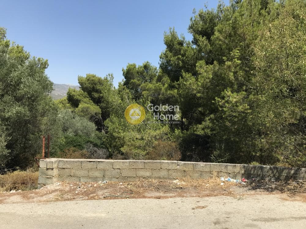 Parcel in Neapoli, Spata — Photo 17 of 33