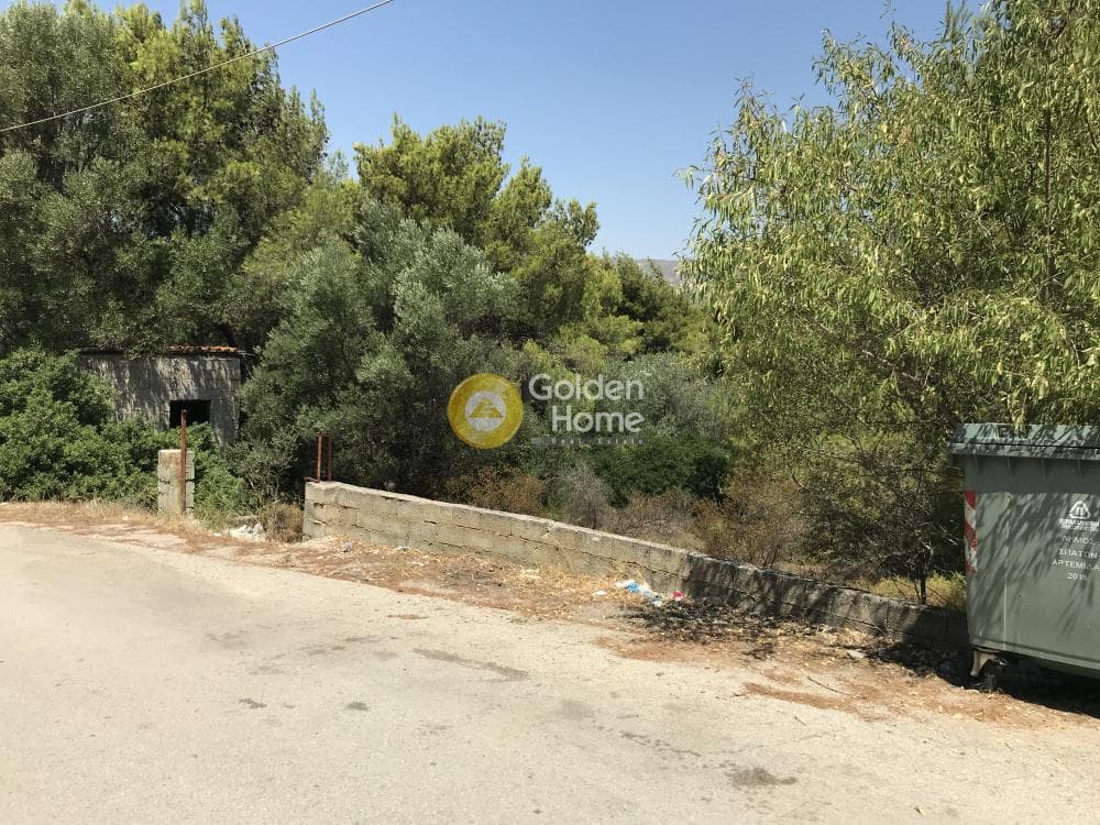 Parcel in Neapoli, Spata — Photo 18 of 33