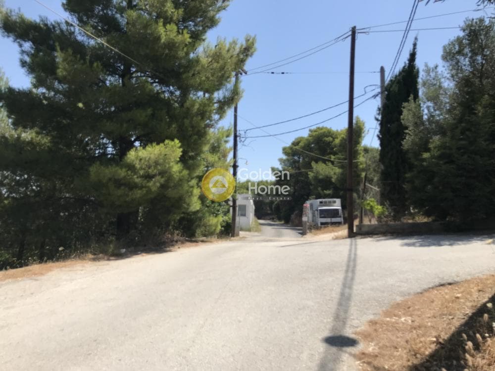 Parcel in Neapoli, Spata — Photo 19 of 33
