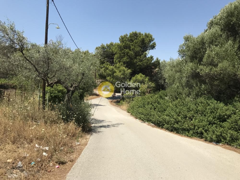 Parcel in Neapoli, Spata — Photo 20 of 33