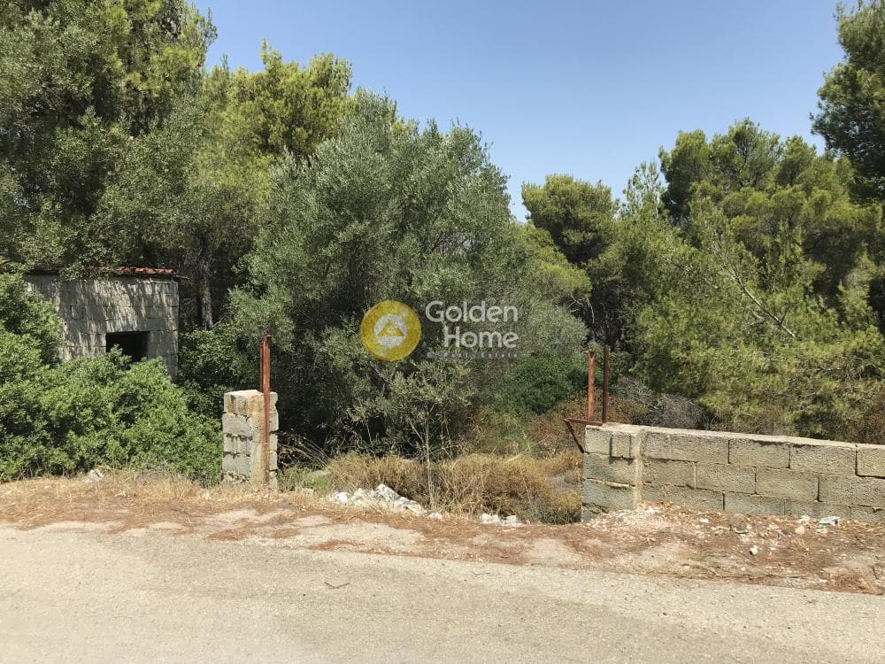 Parcel in Neapoli, Spata — Photo 21 of 33