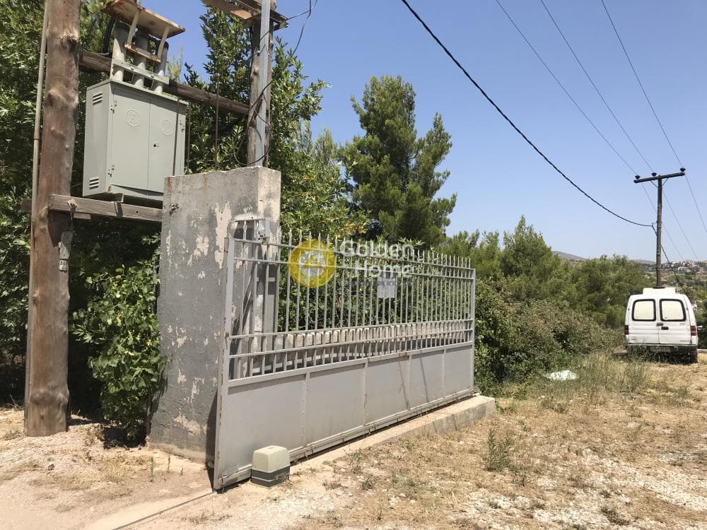 Parcel in Neapoli, Spata — Photo 22 of 33