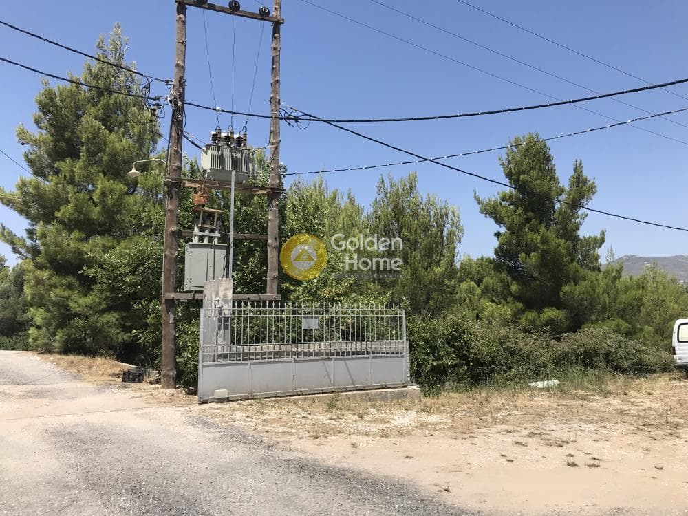 Parcel in Neapoli, Spata — Photo 23 of 33
