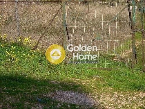 Οικόπεδο στην Σελήνια, Σαλαμίνα — Φωτογραφία 1 από 2