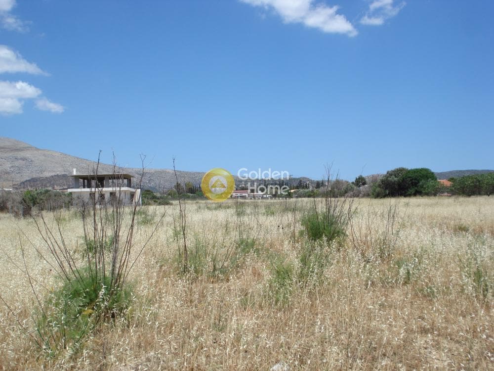 Parcel in Kalivia, Kalivia Thorikou — Photo 3 of 10